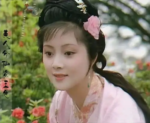 影视介绍当年参演87版红楼梦主要演员今昔对比
