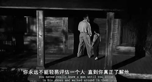 我思故我在杀死一只知更鸟读后感节选