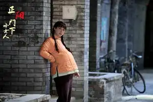 正阳门下小女人开播收视夺冠却因这点引热议