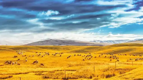 看完飞驰人生我只想去巴音布鲁克拍片