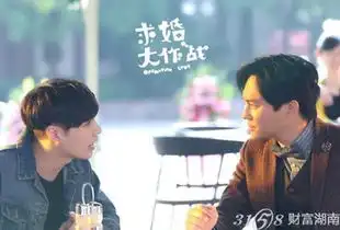 求婚大作战全集百度云求婚大作战高清资源共享
