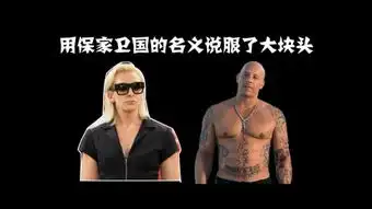 极限特工系列
