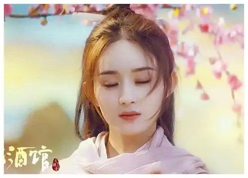 赵丽颖杨洋合作的长相思即将来袭,光看海报已美出新高