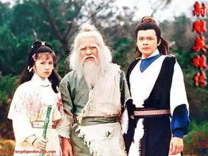 金庸太牛了,一部射雕英雄传竟暗含中医五行的相生相克