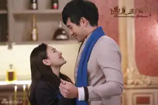 遇见王沥川高以翔找到正确打开方式