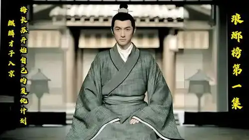 琅琊榜麒麟才子入京,梅长苏开始自己的复仇大计
