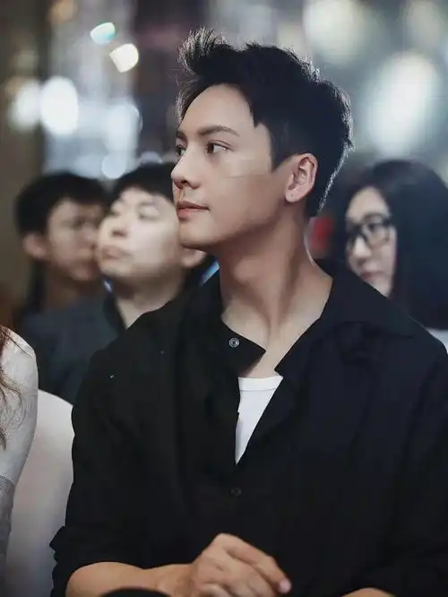 杨幂一个人美怎么行,陈伟霆可一点不丑