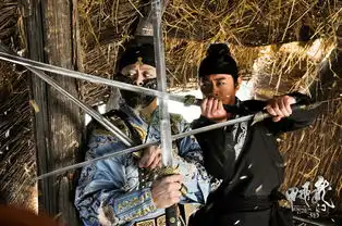 龙门飞甲马进良为什么戴着面具徐老怪
