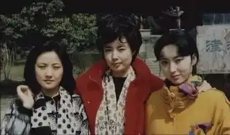 节目陈力如何将红楼组曲演绎为传世之作内附精彩视频
