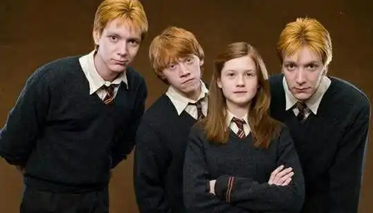 哈利波特被偏爱的韦斯莱家族还有哪些遗憾呢
