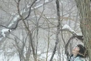 你真的读懂了挪威的森林吗村上春树
