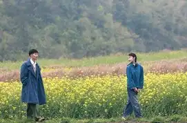 感受山楂树之恋那最纯美的爱情
