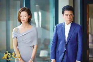 好先生孙红雷王耀庆挥拳江疏影车晓较量