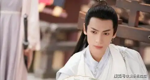 看剧照被吸引的剧王一博肖战两部杨紫三部易烊千玺一部
