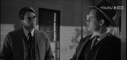 关于杀死一只知更鸟的思考