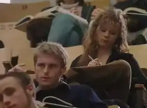 风雨哈佛路2003年peterlevin导演美国电影搜狗百科