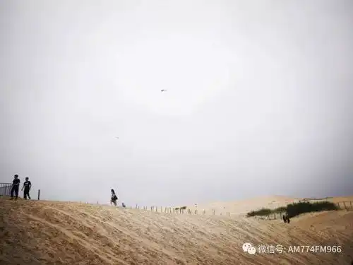 天赐良缘相聚锡勒图单身男女联谊会第二季