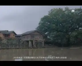 带你一起进入如梦如幻的电影世界里大鱼海棠与云水谣
