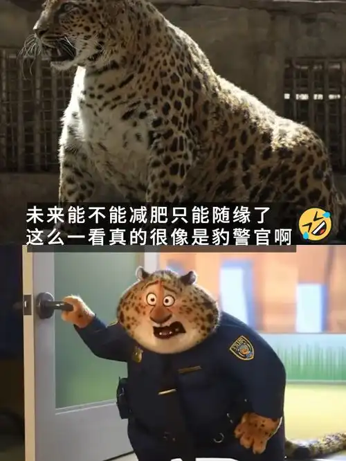 网红豹子胖成了豹警官网友现实版疯狂动物城
