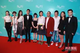 匆匆那年红毯王菲匆匆捧场黑超抢镜
