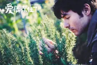 爱情冻住了曝剧照凤小岳生日林依晨送祝福
