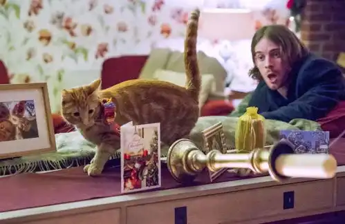 悦福利︳这只猫拯救了他的整个人生