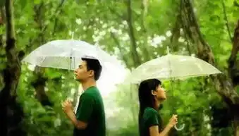 离婚后,王.宝.强对前妻说了七句话,震撼了很多人
