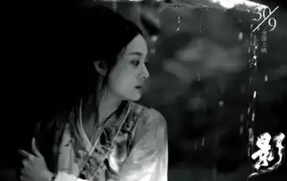 孙俪影剧照曝光国际口碑获赞点睛之笔
