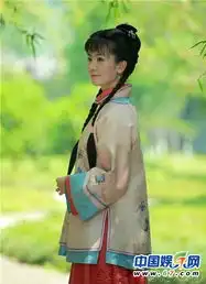 王珞丹袁珊珊李晟影视剧雷人造型大比拼

