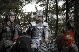 杨门女将之军令如山官方剧照