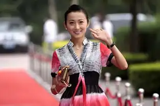 陈坤独自养儿子董洁离婚揭金粉世家主演现状
