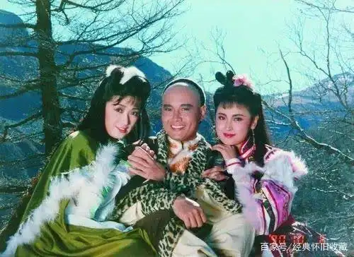 金庸经典,1991年版雪山飞狐,演员有哪些变化