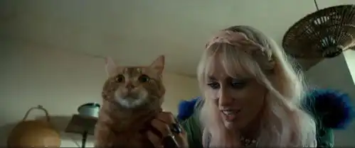 流浪猫鲍勃小流浪猫两次遇见鲍恩,这难道不是,上天的礼物么