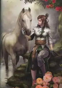 真三国无双系列美女原画介绍及形象对比
