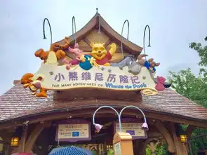 玩转上海迪士尼15项一天二刷三项热门20张fp