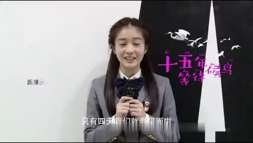 十五年等待候鸟倒计时来自校花张雪迎的问候
