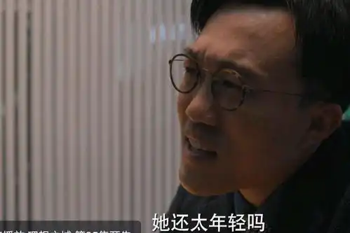 理想之城结局夏明掀风浪,狐狸帮落败,苏筱带集团走出困局