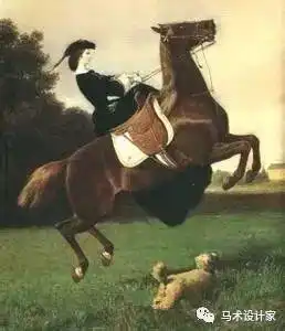 子欢经验谈关于侧鞍的前世今生