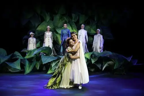 十五年等待候鸟剧照普及