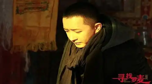 哇这难道是国内获批的第一个男性同性恋爱情电影王超寻找麦卡尼过审
