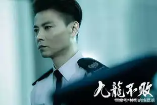 张天志之后,张晋还有3部电影,1部夫妻联袂,1部合作史泰龙
