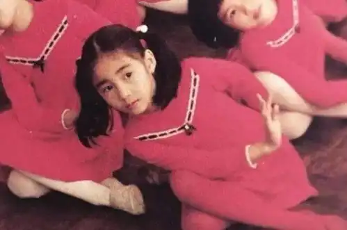 昔日tvb当家花旦,为救弟弟嫁给残疾富豪