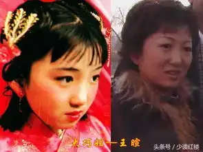 87版红楼梦小演员今昔对比,变化太大认不出
