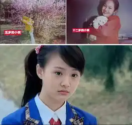 郑爽又胖回来了美美哒
