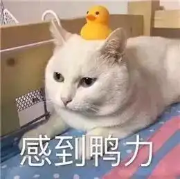 不敢相信90后老阿姨热衷收藏的表情包竟然是这类
