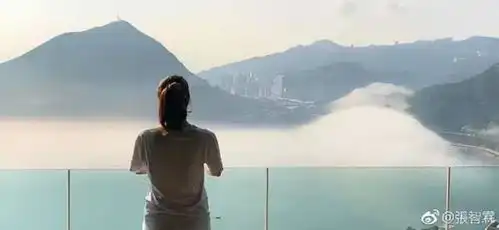 拒绝香港天价蜗居,大湾区的哥哥姐姐组团内地置业