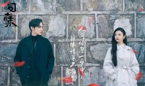 司藤开播,遭质疑人设抄袭德鲁纳酒店,网友吐槽忒欢乐