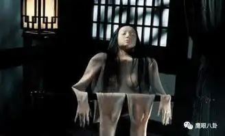 与玛丽苏势不两立的鹰叔正在追人间至味是清欢