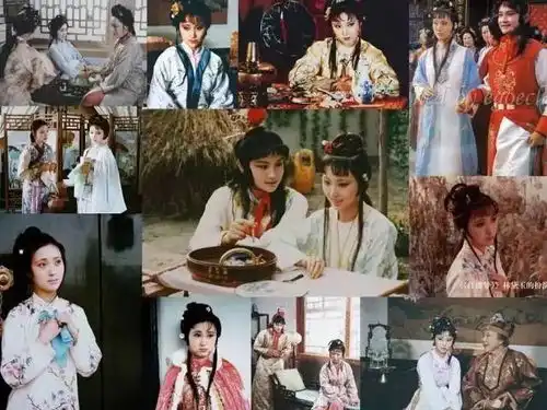 87版红楼梦30年后再聚首看完感慨万千