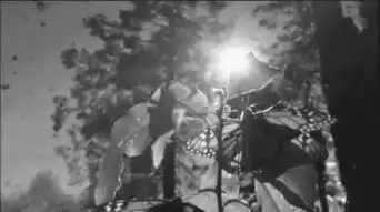 联合摄制纪录片的国际化眼光
